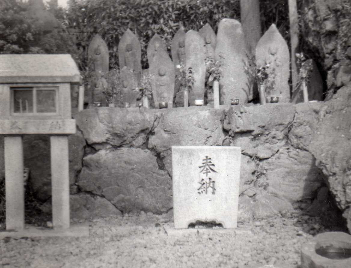 Image 51